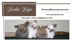 Leckie Lops Business Card